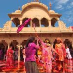 From Delhi: 1-day trip Mathura with Elephant conservation - The Practicalities: Comfort, Timing, and Group Size