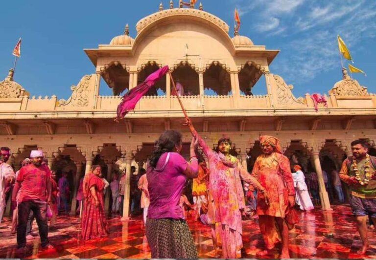 From Delhi: 1-day trip Mathura with Elephant conservation - The Practicalities: Comfort, Timing, and Group Size