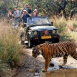 From Delhi: 6-Day Golden Triangle Tour with Ranthambore - Transportation, Accommodation, and Value