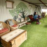 From Delhi : Elephant Conservation and Care Centre -Wildlife - Pricing and Value Analysis