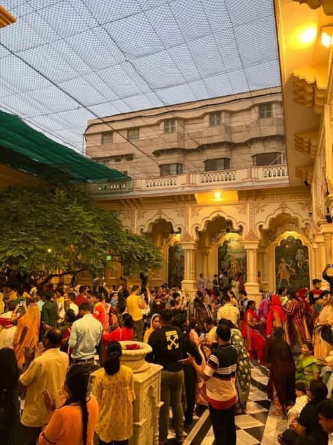 From Delhi/Jaipur: Taj Mahal & Elephant SOS Tour with Lunch - The Experience: What Sets It Apart?