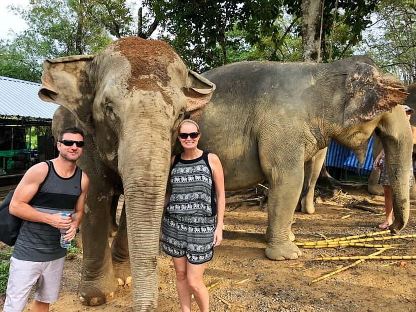 From Delhi: Jaipur Tour with Guide, Transport & Elephants - The Elephant Encounter: A Cultural Highlight