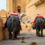 From Delhi: Private Jaipur full-day tour with expert guide - Transportation and Timing