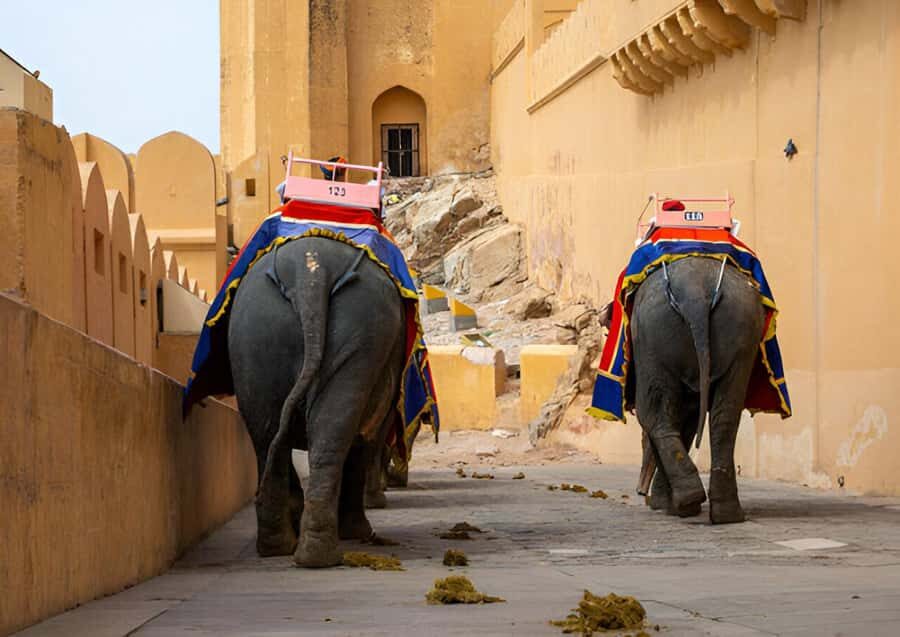 From Delhi: Private Jaipur full-day tour with expert guide - Transportation and Timing