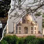 From Delhi : Private Taj Mahal & Agra Tour with 5* Lunch - Why This Tour Works for You