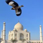 From Delhi Private Taj Mahal Sunrise and Agra Day Tour By Car - Authentic Experiences and Insights from Reviews