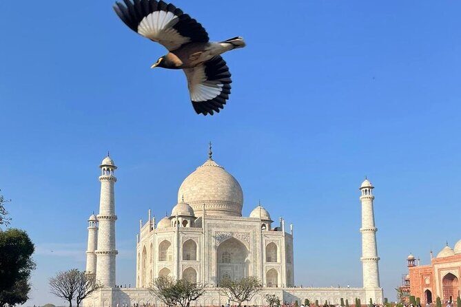 From Delhi Private Taj Mahal Sunrise and Agra Day Tour By Car - Exploring the Taj Mahal