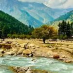 From Delhi: Rishikesh Guided Day Tour by Car - Detailed Breakdown of the Tour