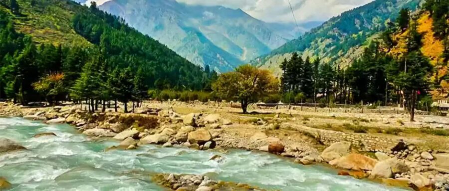 From Delhi: Rishikesh Guided Day Tour by Car - Detailed Breakdown of the Tour