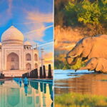 From Delhi: Sunrise Taj Mahal and Elephant Conservation Tour - The Guides and Authentic Insights