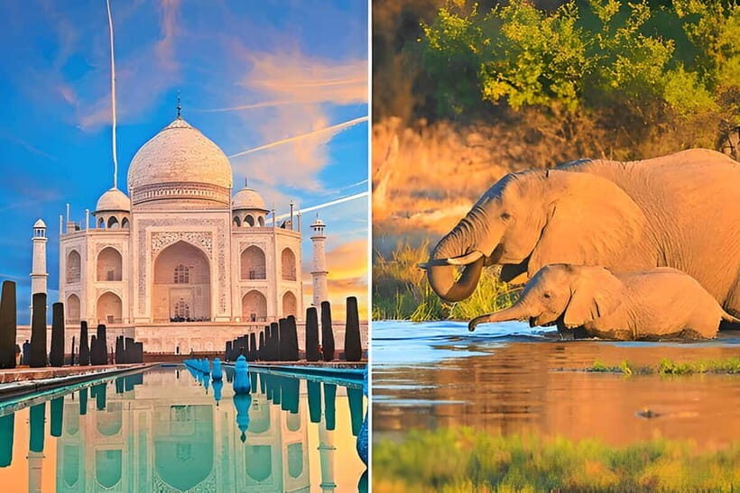 From Delhi: Sunrise Taj Mahal and Elephant Conservation Tour - Good To Know