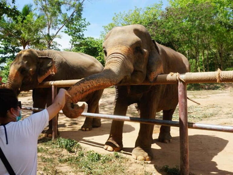 From Delhi: Taj Mahal, Agra Fort & Elephant Sanctuary Tour - Why This Tour Is a Great Choice