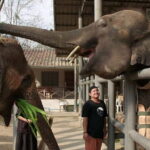 From Delhi: Taj Mahal Sunrise and Elephant Conservation Tour - Why This Tour Offers Great Value