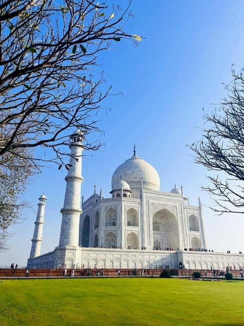 from Delhi Taj Mahal Sunrise Tour W SOS Elephant Conservati - The Sum Up: Is This Tour Right for You?