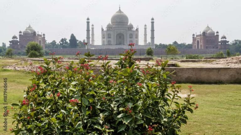 From Delhi : Taj Mahal Sunrise Tour With Lunch at 5* Hotel - Detailed Breakdown of the Experience