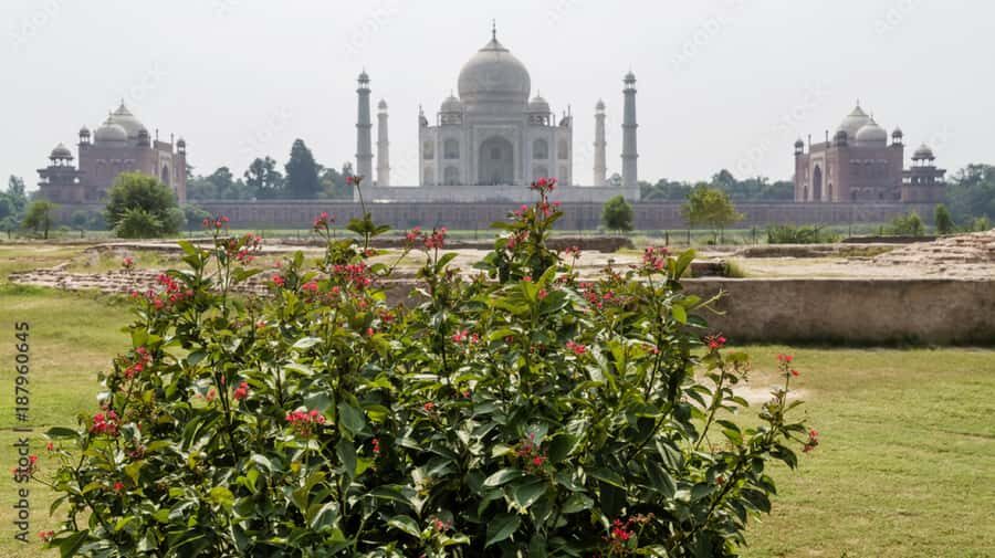 From Delhi : Taj Mahal Sunrise Tour With Lunch at 5* Hotel - Detailed Breakdown of the Experience