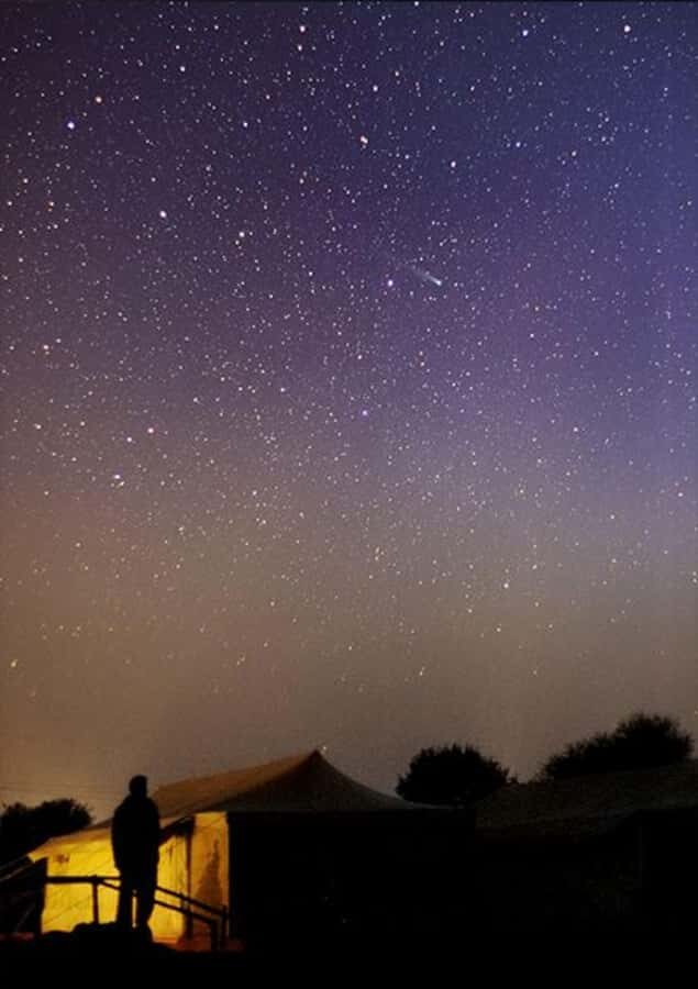 From Delhi: Varanasi Guided Tour  Ganga Aarti & Boat Ride - Why This Experience Offers Great Value