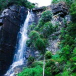 From Ella: 2-Day Tour to Nuwara Eliya and Kandy with Drop - What Makes This Tour Stand Out