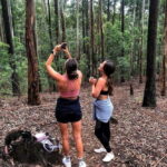 From Ella- All Inclusive Day Trip to Experience Ella & Train - What the Tour Includes and Excludes