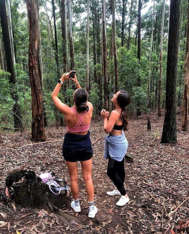 From Ella- All Inclusive Day Trip to Experience Ella & Train - What the Tour Includes and Excludes