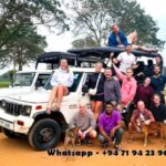 From Ella: Drop to Tangalle/Mirissa/Galle & Udawalawe Safari - Why This Safari Tour Offers Great Value