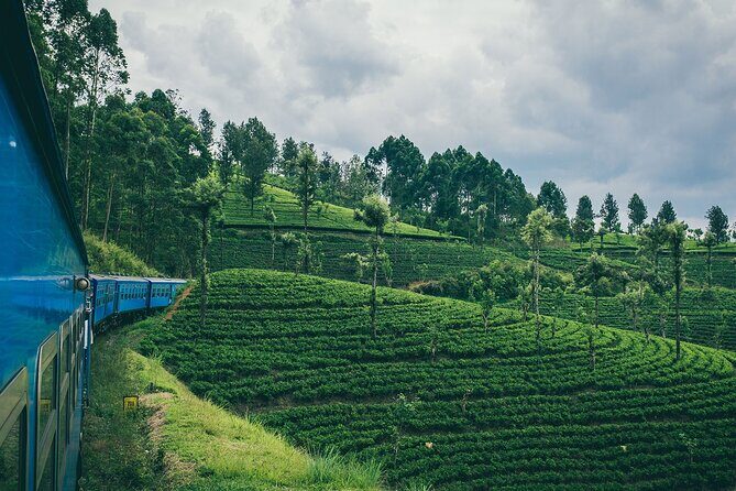 From Ella: First Class Scenic Train Ticket to Kandy - Practical Details to Keep in Mind