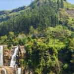 From Ella: Nuwara Eliya Tea Factory and Plantation Tour - Why This Tour Offers Real Value