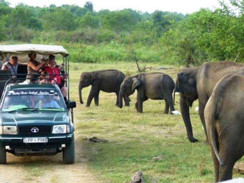 From Ella: Udawalawe & Yala National Parks 2-Day Tour - Who Is This Tour Best For?