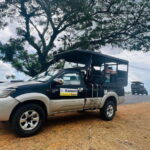 From Ella: Yala National Park Safari & back to Ella - Who Should Book This Tour?