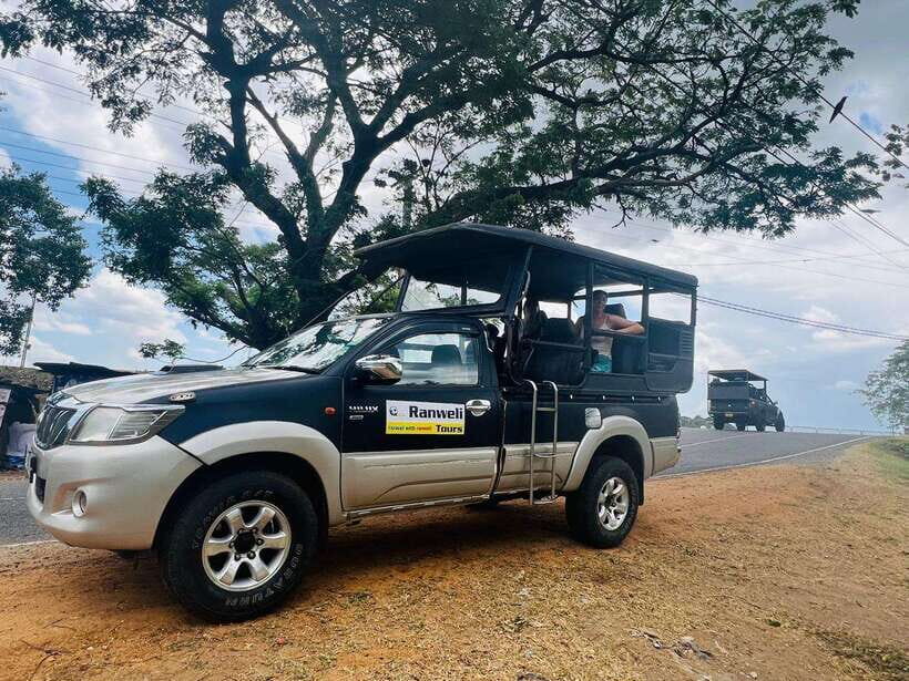 From Ella: Yala National Park Safari & back to Ella - Who Should Book This Tour?