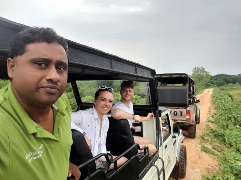 From Ella: YALA National park safari tour with Return - What to Expect from the Tour