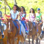 From Falmouth: Horseback Ride and Swim Beach Trip - The Review: The Good, The Not-so-Good, and The Practical