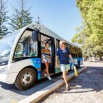 From Fremantle: Rottnest Island Ferry & Bus Day Tour - The Value of This Tour