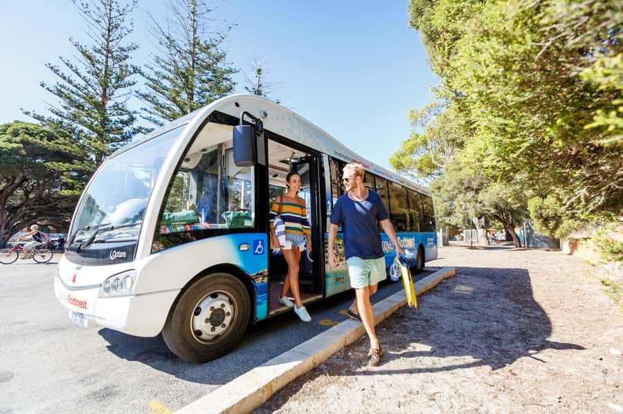 From Fremantle: Rottnest Island Ferry & Bus Day Tour - The Value of This Tour