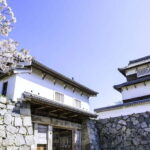 From Fukuoka: 3-Hour Tour of Castle Ruins & Ohori Park - Discovering Fukuoka’s Core in Just Three Hours