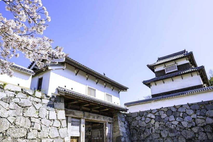 From Fukuoka: 3-Hour Tour of Castle Ruins & Ohori Park - Discovering Fukuoka’s Core in Just Three Hours