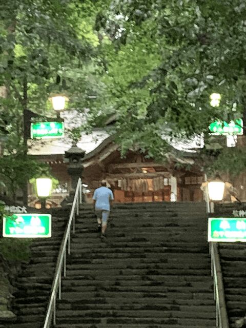 From Fukuoka: Mythical "Takachiho" Day Trip by PRIVATE Bus - In-Depth Review of the Mythical Takachiho Day Trip