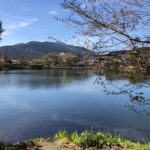 From Fukuoka: Yufuin, Hita, and Beppu Day Trip - Final Thoughts: Who Will Love This Tour?