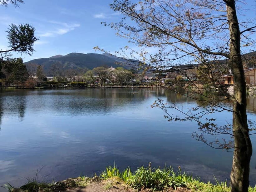 From Fukuoka: Yufuin, Hita, and Beppu Day Trip - Final Thoughts: Who Will Love This Tour?