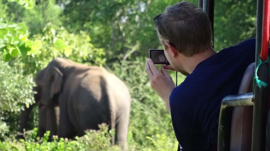 From Galle: All Inclusive Half Day Safari in Yala -Private - The Core of the Experience: What to Expect