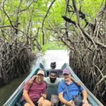 From Galle: Madu River Safari & Turtle Hatchery Visit - Who Will Love This Tour?