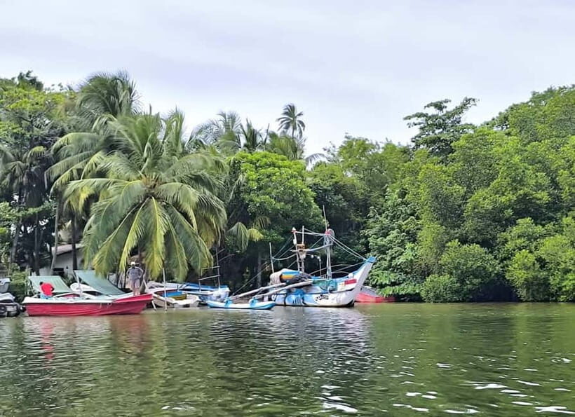 From Galle: Madu River Safari & Turtle Hatchery Visit - Authentic Experiences and Personal Insights