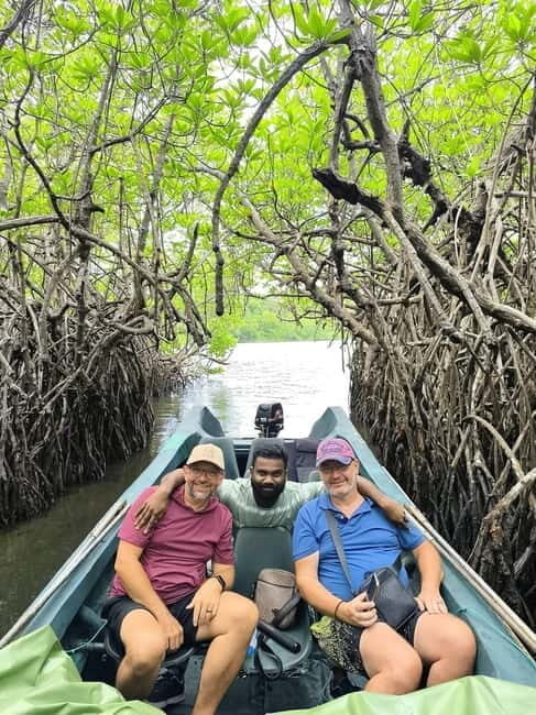 From Galle: Madu River Safari & Turtle Hatchery Visit - Who Will Love This Tour?