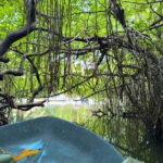 From Galle: Madu River Safari, Turtles & Galle Fort - The Itinerary Breakdown: What You Can Expect