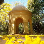 From Galle/Mirissa/Hikkaduwa: Kandy Day Tour with Pickup - What to Expect in Terms of Experience