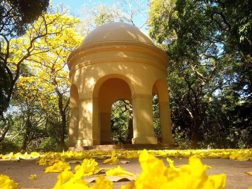 From Galle/Mirissa/Hikkaduwa: Kandy Day Tour with Pickup - What to Expect in Terms of Experience