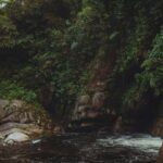 From Galle or Mirissa: Sinharaja Rainforest Day Trip - Authentic Experiences & Real Traveler Insights