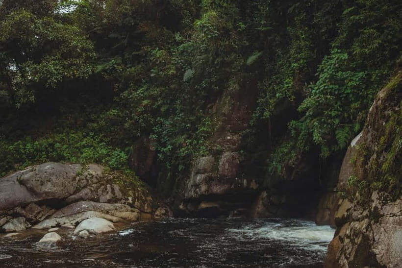 From Galle or Mirissa: Sinharaja Rainforest Day Trip - Authentic Experiences & Real Traveler Insights