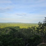 From Galle: Sigiriya Rock Fortress, Dambulla Cave & Safari - Climbing Sigiriya Rock Fortress