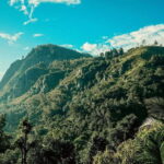 From Galle/Weligama/Mirissa: Day Trip to Ella Highlands - Practicalities and Tips